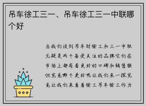 吊车徐工三一、吊车徐工三一中联哪个好