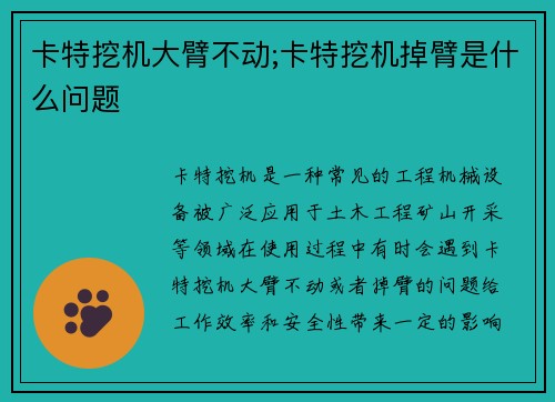 卡特挖机大臂不动;卡特挖机掉臂是什么问题