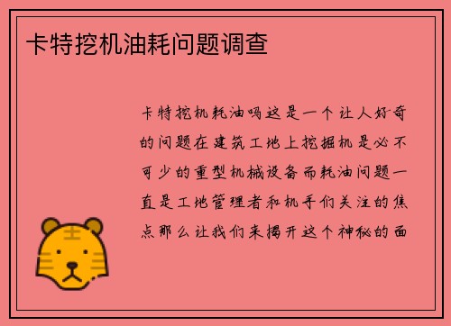 卡特挖机油耗问题调查